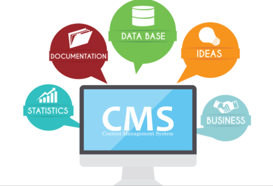 CMS Web Development