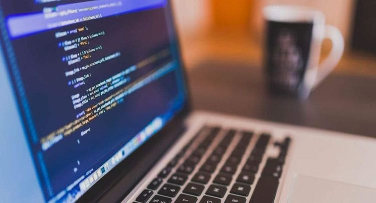 Dynamic website development