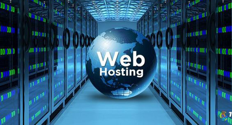 Search Engine Optimization
